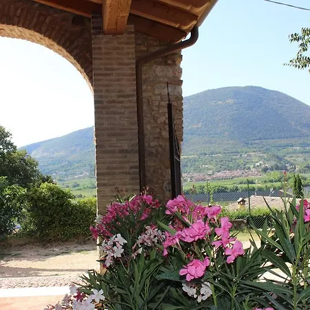 Giardino Degli Ulivi